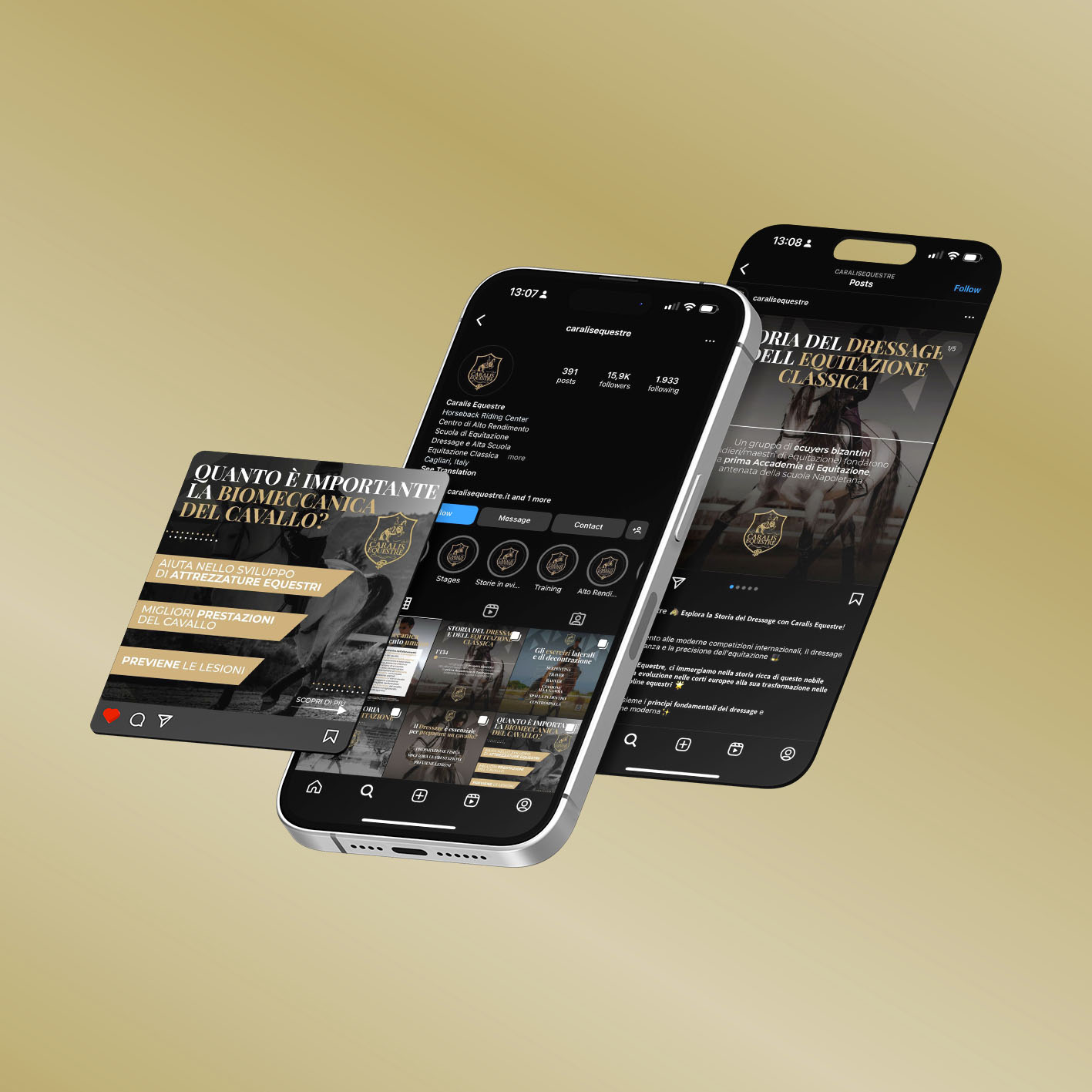 GraficaLive® — 